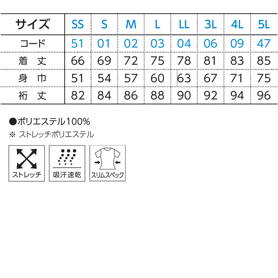 ドライストレッチピステ