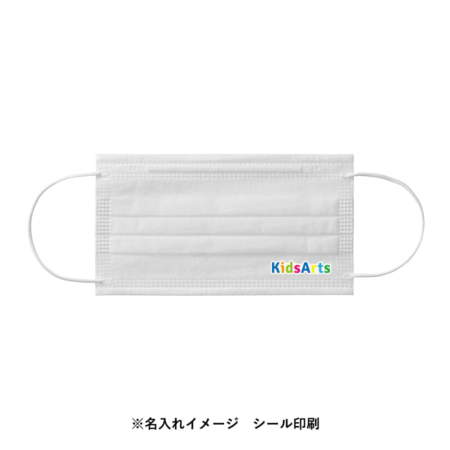 事業者向け 3層マスク レギュラー 500枚セット
