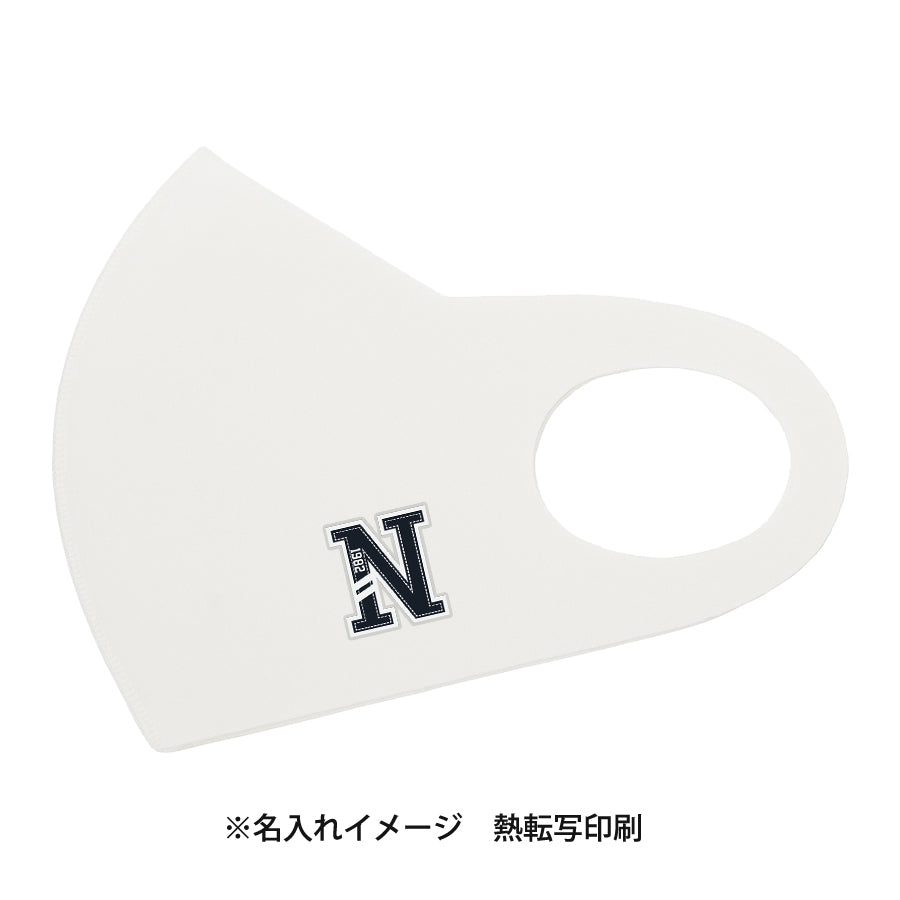 オリジナル名入れマスク 抗菌加工 Lサイズ