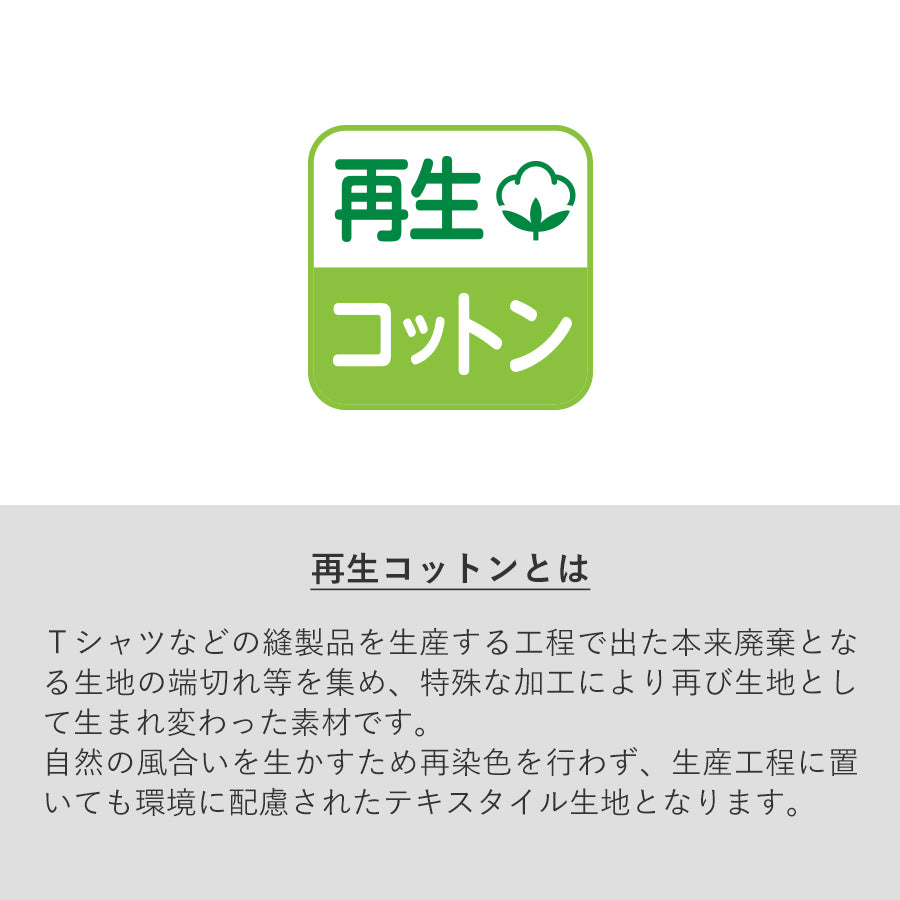 シャンブリックキャンバスデイリーポーチ(M)