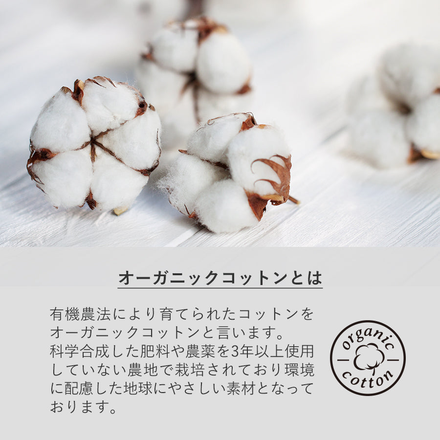 オーガニックコットンキャンバスWスタイルバッグ ナイトブラック
