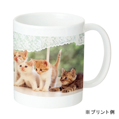 陶器マグストレート(M+)