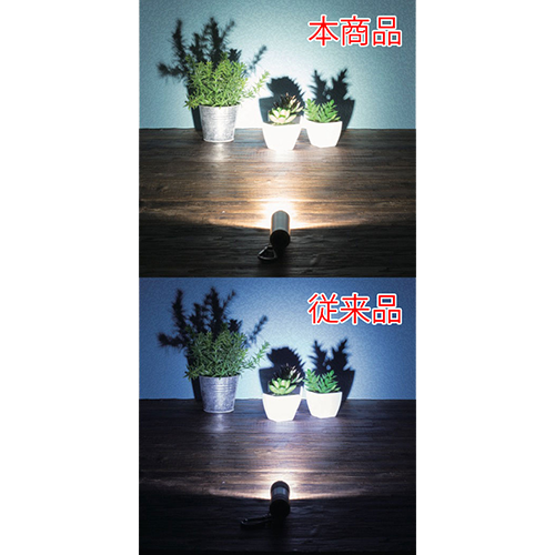 LED9灯カラビナ付ライト スムース