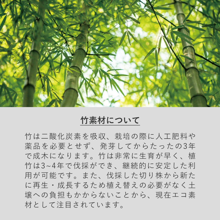 カトラリーセット バンブータイプ(5点)