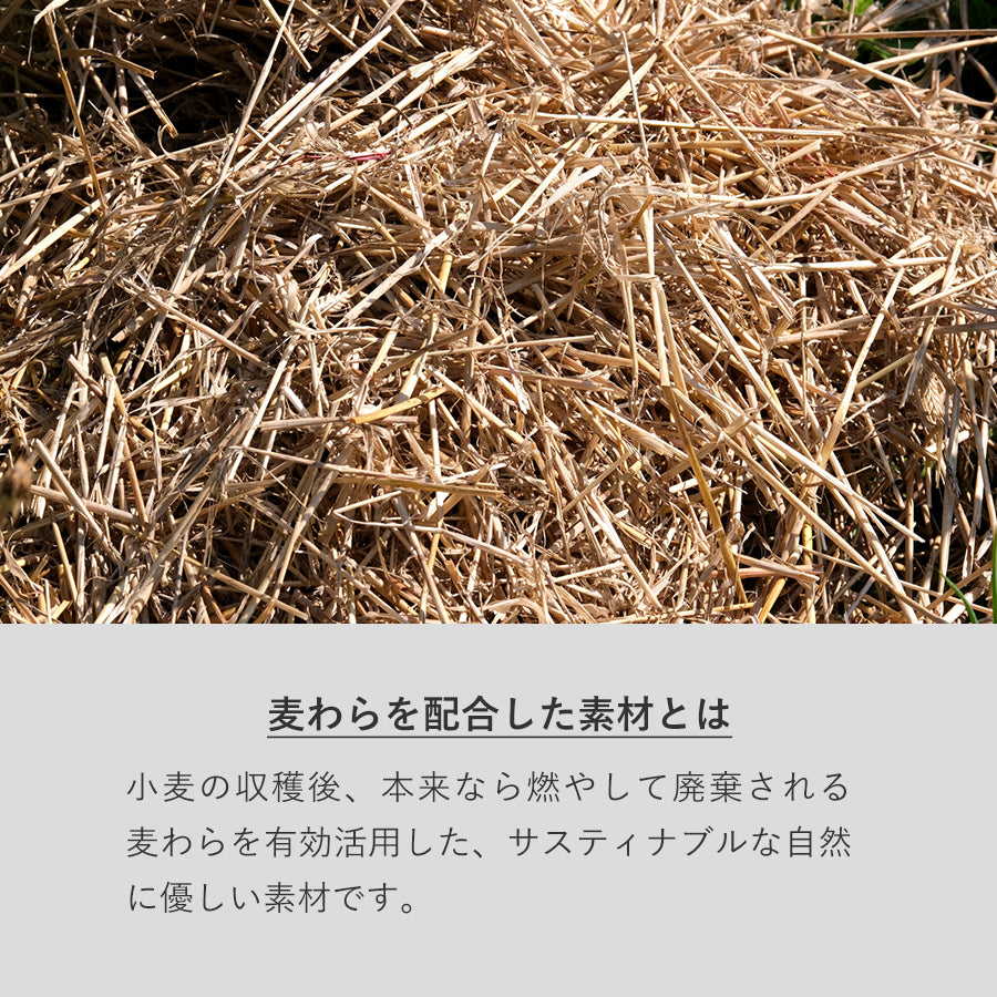 カトラリーセット麦わら入タイプミニ(3点)